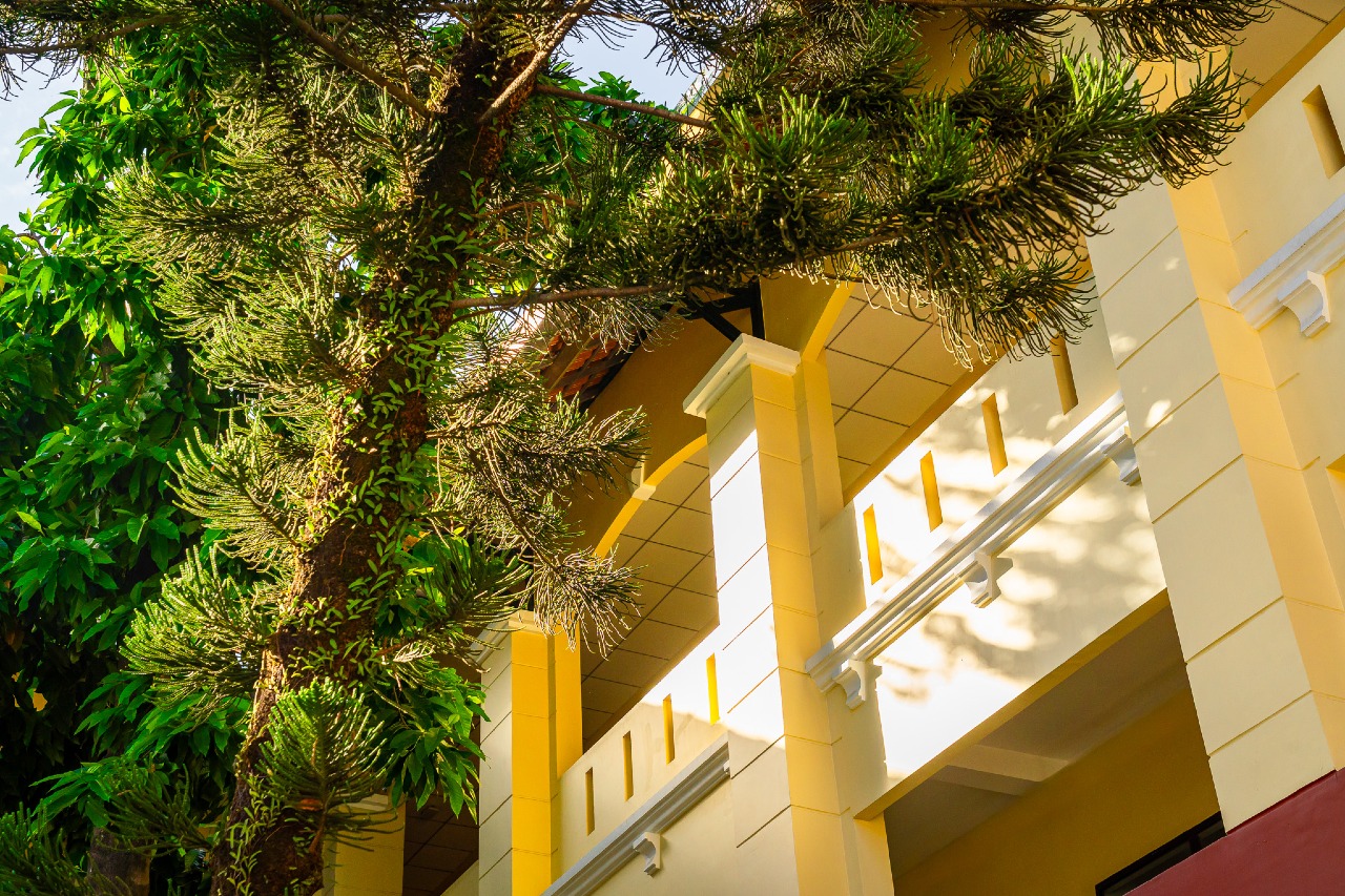 TRƯỞNG PHÒNG SAU ĐẠI HỌC